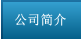 公司簡(jiǎn)介